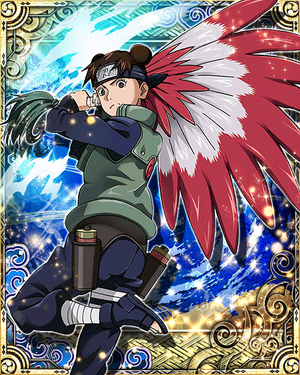 NARUTO ナルト トレーディングカード TENTEN Amazon.co.jp: - Naruto - Tenten : Toys & Games