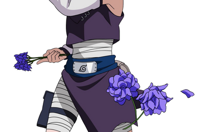 Kiba Inuzuka, Naruto Ultimate Ninja Storm Wiki