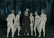 Deidara es liberado por zetsu