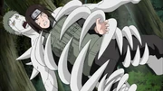 Neji é capturado por um Zetsu.
