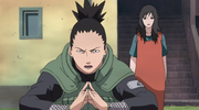 Shikamaru protège Kurenai