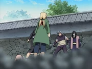 Tsunade and Orochimaru meet for the first time in years.