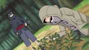 Road to Ninja Aburame Shino, Snazzyfluff Wiki