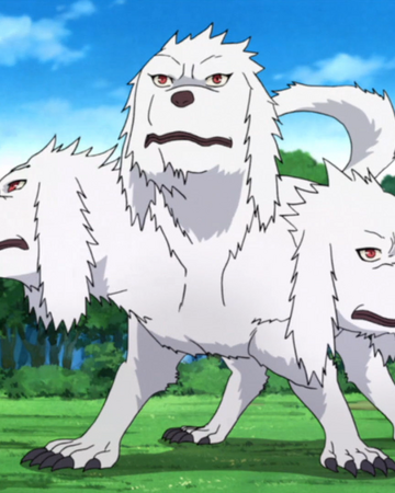 human beast mixture transformation