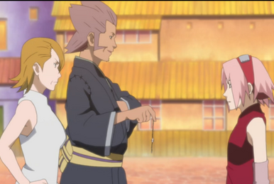 Naruto Shippuden - Episodio 214 - Fardos Online - Animezeira