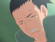 Shikamaru pleure