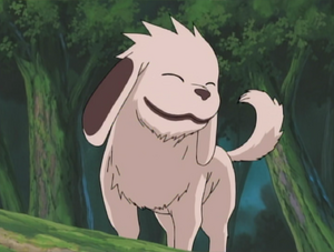 anime dog people