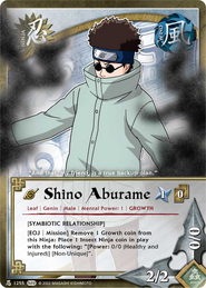 Shino Aburame.