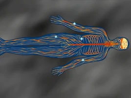 …confusing their nervous system.