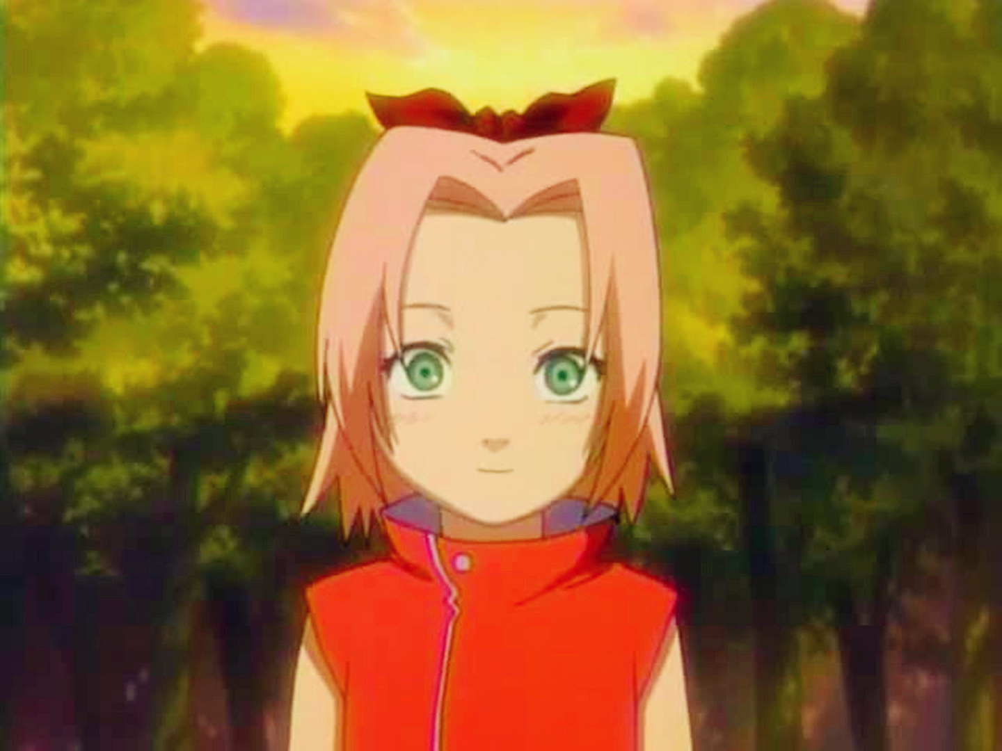 Sakura Haruno do Naruto: conheça a história, poderes e habilidades da  médica-nin - Aficionados