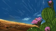 File:Cactus Genjutsu