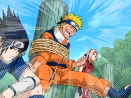 Você Falhou A Decisão Final de Kakashi