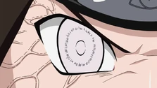 Byakugan milik Neji.