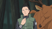 Shikamaru e Rikumaru