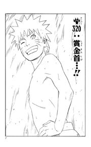 File:Chapter 320