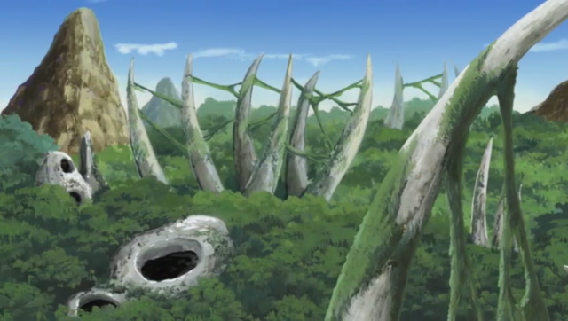 Vale das Nuvens e Relâmpago, Wiki Naruto