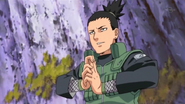 Shikamaru diz que não errará a ordem do ataque dessa vez.