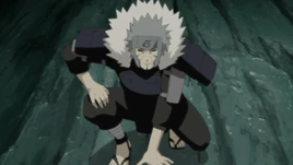 Shinobi Battle Armour