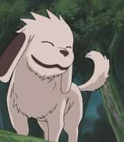 Akamaru