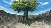 L'Albero Divino della Terra.