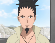 File:Shikamaru Adulthood