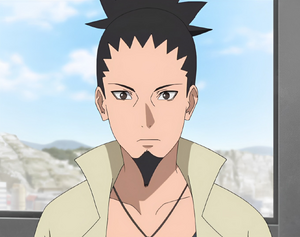What Happened to Naruto after Shikamaru become Hokage? Why Did