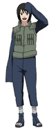 Shizune's shinobi attire.