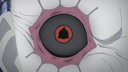 Shin's Mangekyō Sharingan