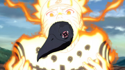 Corbeau d'Itachi et Naruto