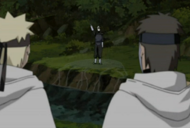 Naruto Shippuden - Episodio 145 - O Sucessor do Jutsu Proibido Online -  Animezeira