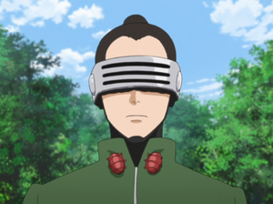 Road to Ninja Aburame Shino, Snazzyfluff Wiki