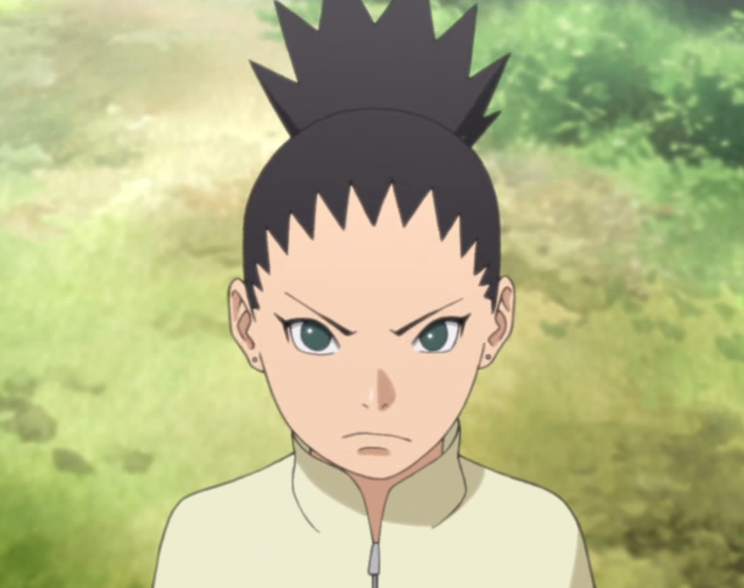 Shikadai Nara, Wiki Naruto