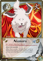 Akamaru.