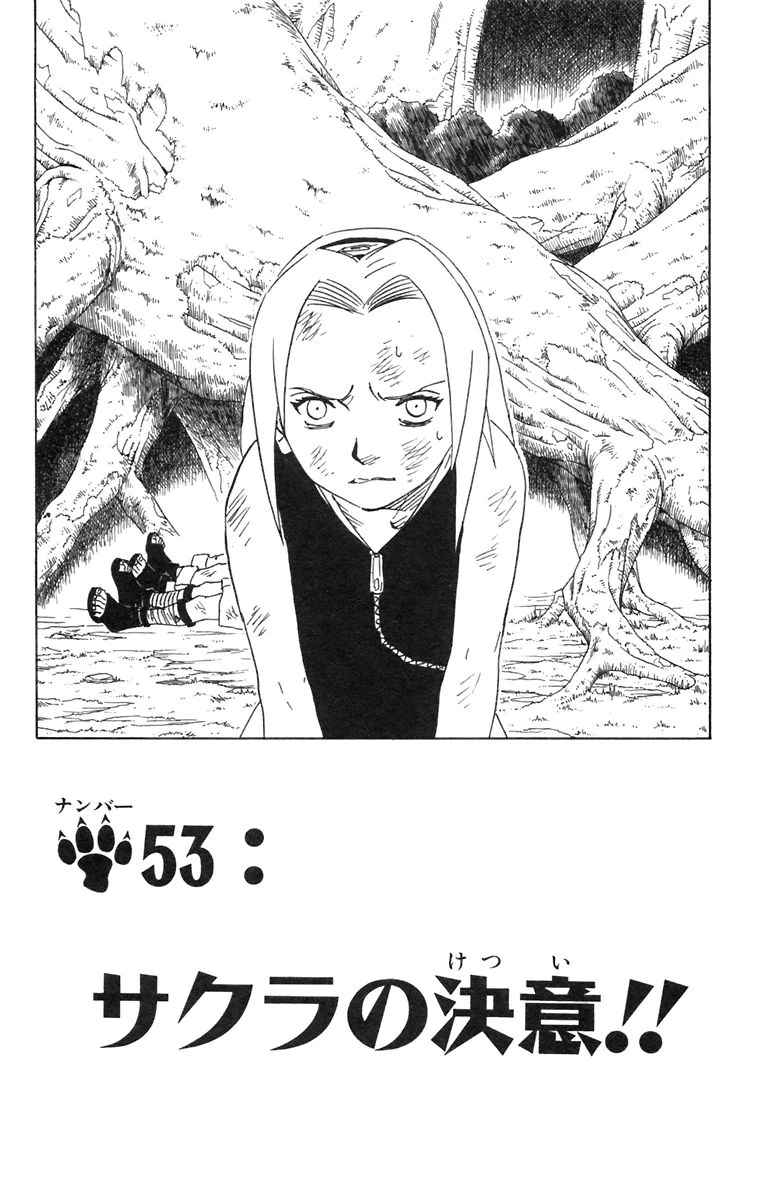 Sakura's Decision!! (chapter 53) | Narutopedia | Fandom