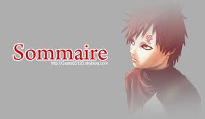 Sommaire.jpg