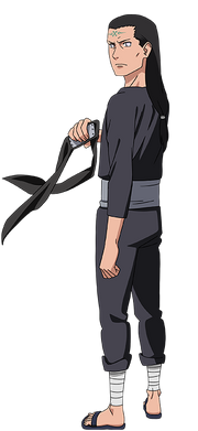 Hizashi's appearance.
