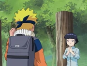 Hinata motivates Naruto before his fight with Neji.
