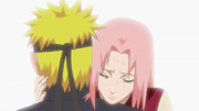 Naruto e Sakura