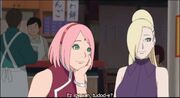 Sakura ino