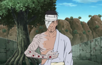 Danzo's arm