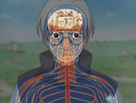 O distúrbio no sistema nervoso é apresentado.