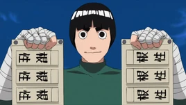 Rock Lee's Weights