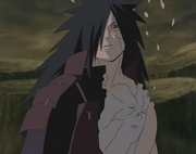 O DNA de Hashirama em Madara.