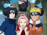 Team 7 (Kakashi)