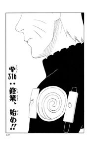 File:Chapter 316