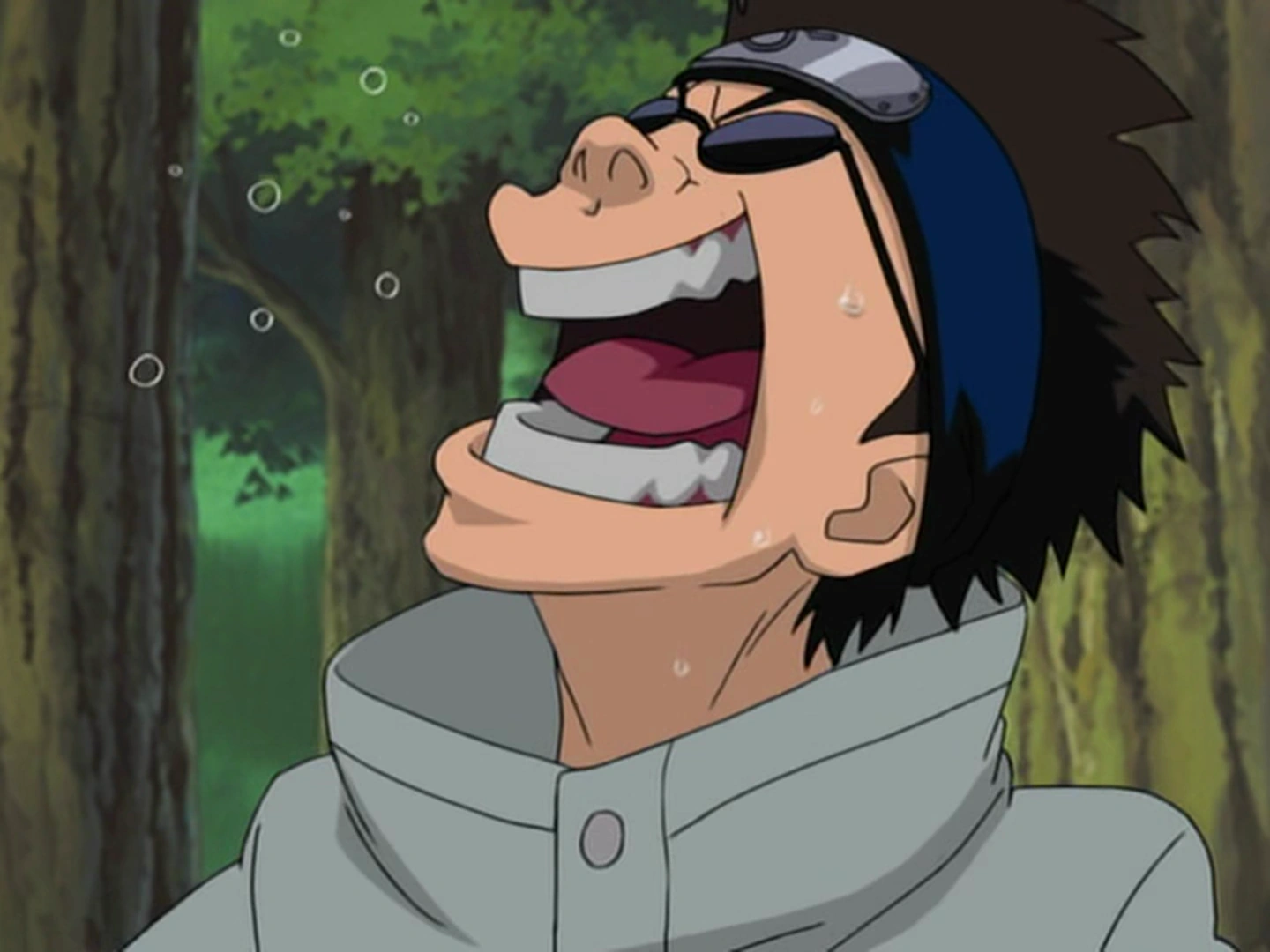 Laughing Shino | Narutopedia | Fandom