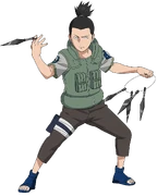 Shikamaru jako chūnin.