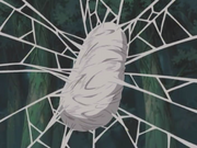 File:Spider Cocoon