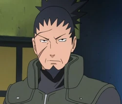 Shikaku nara