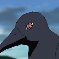 Corvo De Itachi Wiki Naruto Fandom Download free itachi png with transparent background. corvo de itachi wiki naruto fandom